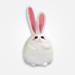 Tirelire Lapin Grandes Oreilles